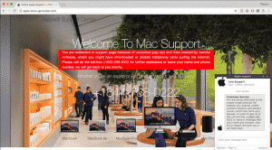 Fake apple support